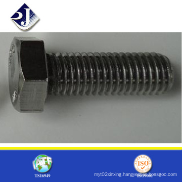 Stainless Steel 304 M20 Hex Bolt